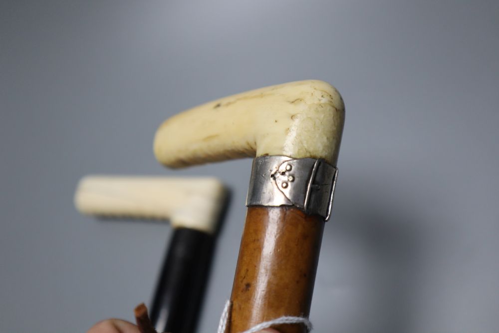 Two late 19th/early 20th century ivory handled walking canes, length 18cm